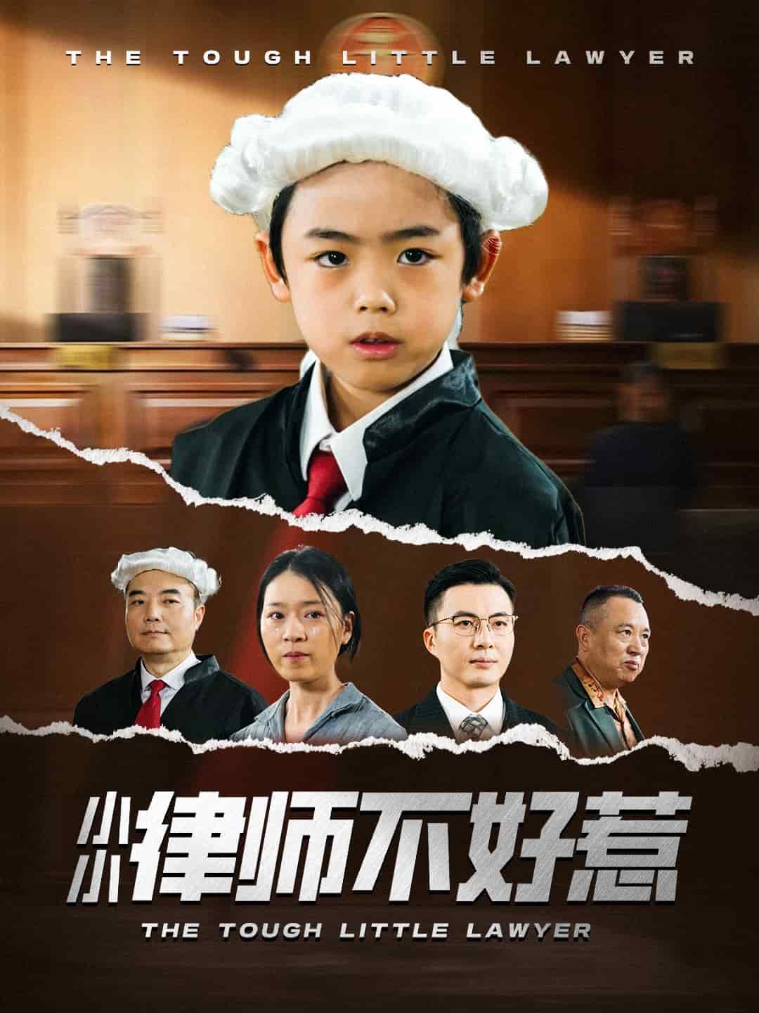 小小律师不好惹