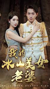 我的冰山美女老婆